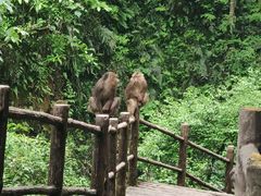 -徐六孃正宗甜皮鸭(张公桥店)