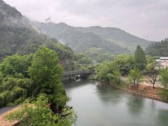 -芦茨金富饭庄·25年老字号·专做稻草鸡