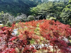 -广州市帽峰山景区