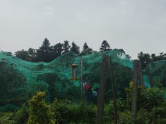 -亮河湾山庄