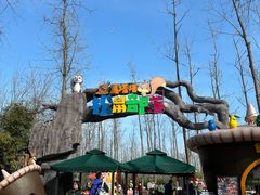 -合肥滨湖国家森林公园