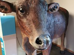 -伊犇牛清真牛肉火锅(宽窄巷子店)