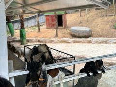 -李东农庄(中南百草园地标店)