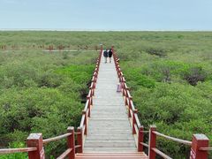 -北海金海湾红树林生态旅游区