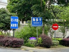 -龙坞茶村
