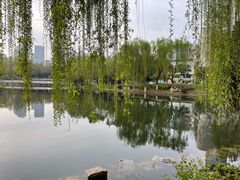 -后襄河公园