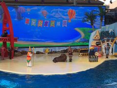 -三亚海昌梦幻海洋不夜城