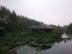 -溱湖国家湿地公园