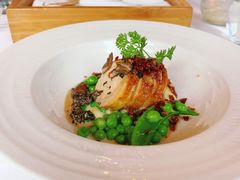 -蝶舍·MAISON PAPILLON