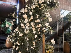 -一棵树·意大利西餐厅One Tree(新城店)