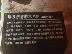 -皇家海洋乐园