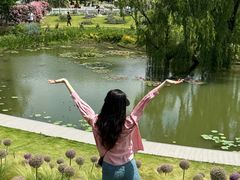-嘉北郊野公园