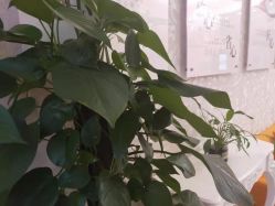 -Cocodemer女性健康·产后恢复(天一广场店)