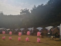 -龙寺生态园