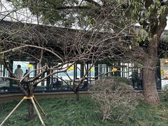 -柳莺湖上·湖景餐厅·江南菜(西湖店)