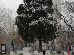 -文瀛公园