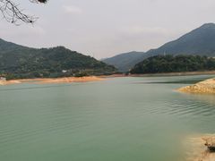 -广州市流溪河国家森林公园