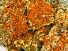 -榕江牛瘪牛肉火锅(东新路店)