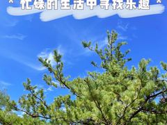 -北坞公园