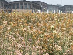 -中国天府农业博览园