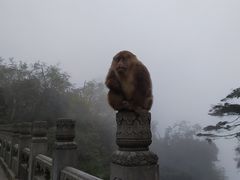 -峨眉山风景名胜区