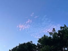 -深圳湾公园(南山区)