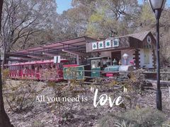 -上海共青森林公园