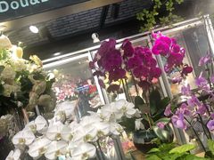 -豆豆花艺(新光天地店)