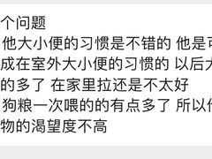 -宠物之家Pets Home 宠物寄养酒店