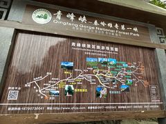 -青峰峡国家森林公园