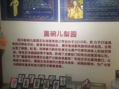 -盖碗儿梨园·变脸吐火·川剧(天府广场店)