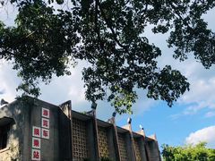 -中国科学院西双版纳热带植物园