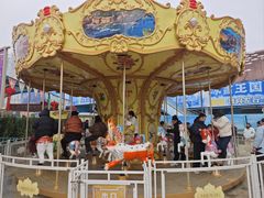 -海合安武汉极地海洋公园