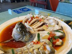 -西塘人家•黑金冠本地好店