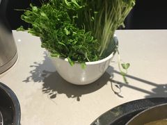 -浩爷羊蝎子火锅(望京店)
