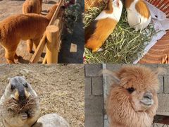 -交通银行前滩31演艺中心