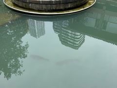 -成都市活水公园