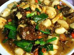 -北京市海淀外国语实验学校