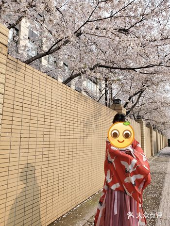 推荐一个赏樱好去处！  环境： 位于中央公园对面的雅