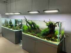 -ADA自然水景世界