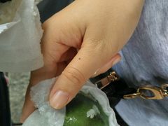 -明月楼