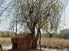 -前关湿地公园