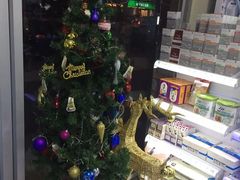 -瑞派宠物医院·24h·骨外科·皮肤科·全科宠物医疗转诊中心(沈阳浑南院)