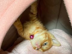 -老裁缝改衣订制