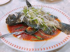 -凤城礼记鱼翅海鲜酒家(新马路总店)