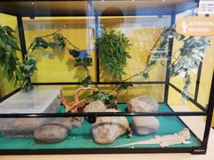-浙江自然博物院(杭州馆)