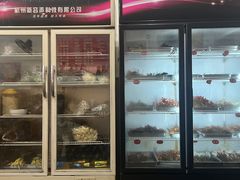 -厕所串串(文殊院店)