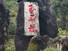 -玉石林风景区