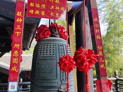 -大唐贡茶院
