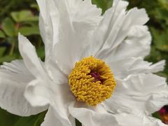 -太阳宫公园